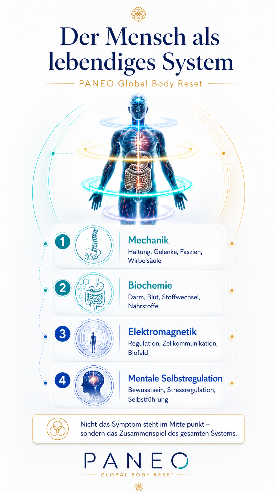 Smartphone-Infografik: Der Mensch als lebendiges System mit den vier PANEO-Ebenen Mechanik, Biochemie, Elektromagnetik und mentale Selbstregulation.